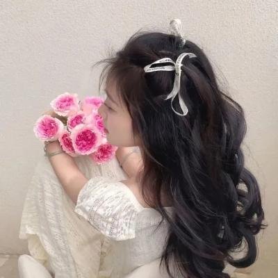 风流十七年